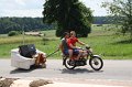 IMG_8528