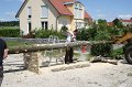 IMG_8550