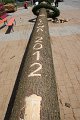 IMG_8556