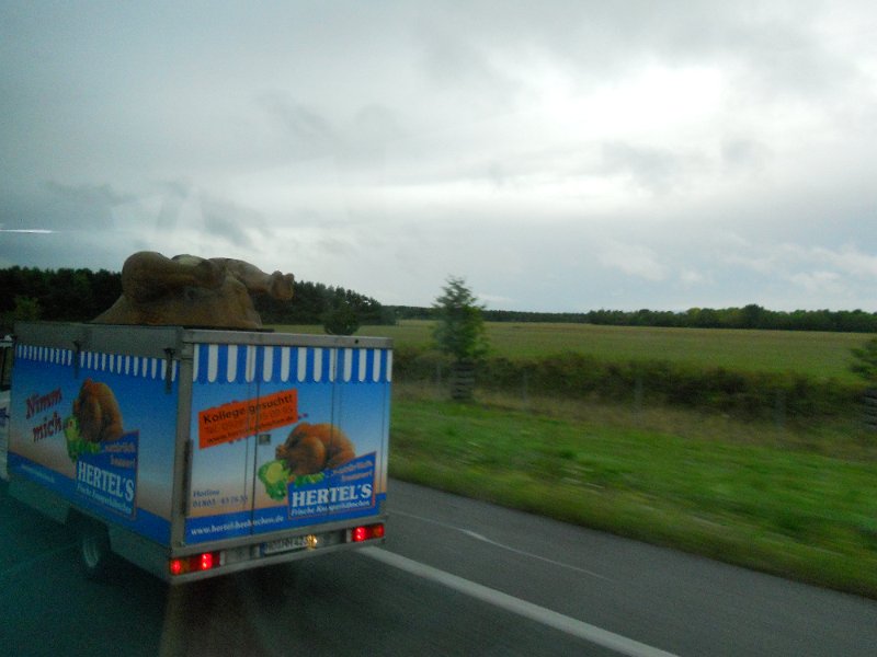 DSCN0549.JPG