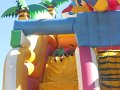 DSCN0752